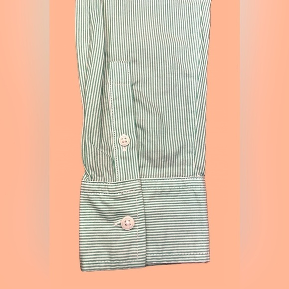 NWT Everlane Mint Pinstriped The Silky Cotton Relaxed Shirt, Oversized, Size 0 - Picture 10 of 14